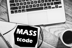MASS T Code - Mass Maintenance Tips