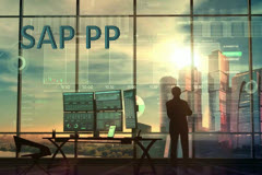  SAP PP Production Planning - Business Processes