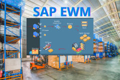 SAP Extended Warehouse Management (EWM) : Business Process