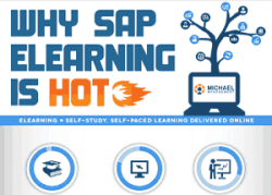 < Why SAP eLearning is HOT