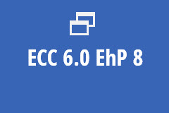 ECC 6.0 EhP 8 on HANA - Annual Subscription