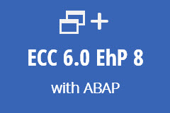 ECC 6.0 with ABAP - Annual subscription