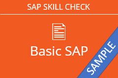 Sample Basic SAP Skills Check