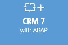 CRM 7 EhP 2 with ABAP - Monthly Subscription