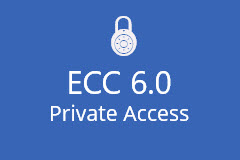 ECC 6.0 Dedicated SAP Access (12 months)