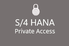 Dedicated SAP S/4HANA Remote Server Access (12 months)