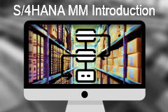 S/4HANA Materials Management Introduction

In this course, you will examine the SAP S/4HANA processes behind  procurement in SAP MM - Material Management, and recognize the way it operates in SAP. We will take a deep dive into the three main central Master Data sources for purchasing, and see how to create them in both SAP GUI and SAP FIORI.
