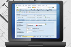 SAP Document Management Overview