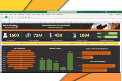 Interactive Dashboards in Excel