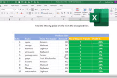 Mastering Xlookup and Vlookup in Excel