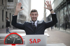 SAP FICO Reporting Tips and Tricks