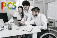 Equality and Diversity: Using PCS Analysis...