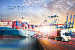 Learn SAP Transportation Management (TM) in S/4HAN...