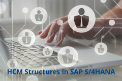 HCM Structures in SAP S/4HANA