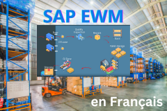 SAP Extended Warehouse Management (EWM) : Processus Métiers