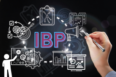 SAP Integrated Business Planning (IBP) - An Introd...