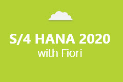 SAP S/4HANA 2020 with Fiori - Monthly Subscription