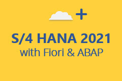 SAP S/4HANA 2021 with ABAP and Fiori - Monthly Subscription