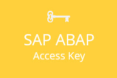 SAP Development Access Key - monthly