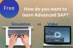 Video vs Simulation Comparison - Advanced