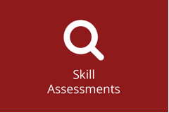 SAP Skill Assessments - Individual