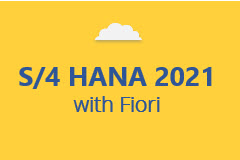 SAP S/4HANA 2021 with Fiori - Monthly Subscription