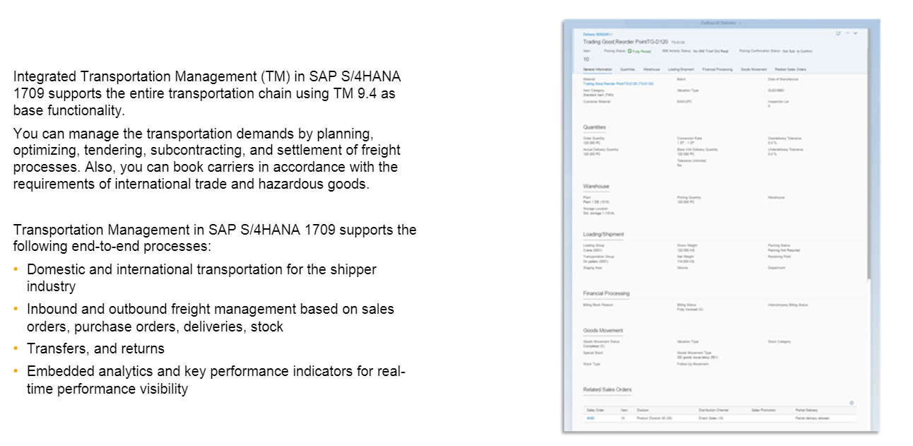 SAP transportation management in release 1709
