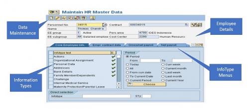 Maintain SAP employee data