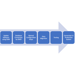 All about converting your ECC system to S/4Hana