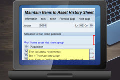 Expert Guide to the Asset History Sheet report
