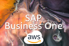 Instalar SAP Business One Developer en la nube de Amazon