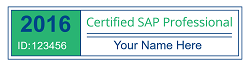 Certified SAP Professional by Michael Management
